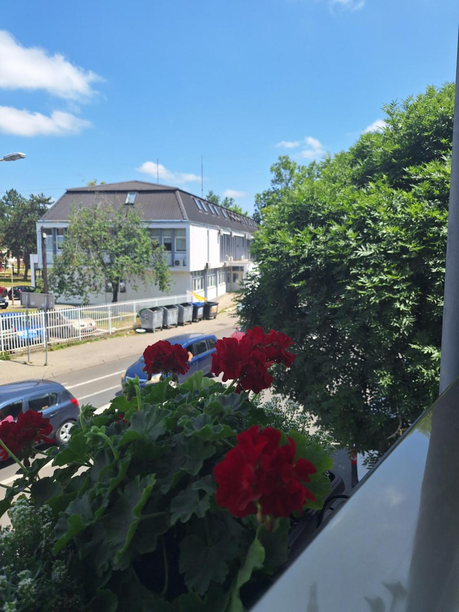 Garni Hotel Ema ครากูเยวัตส์ ภายนอก รูปภาพ